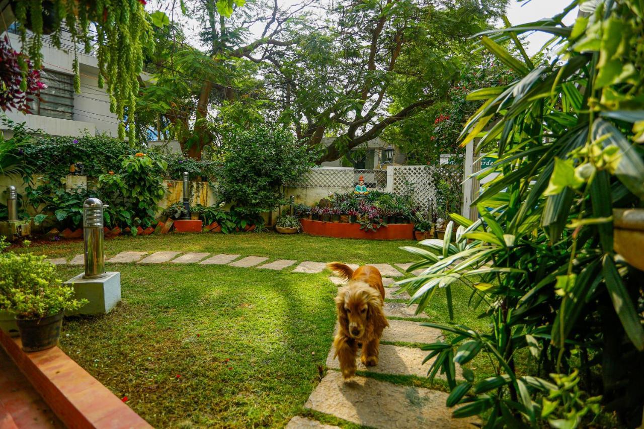 Terrace Gardens Bed and Breakfast Bangalore Eksteriør billede